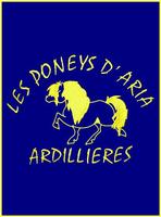 Les poneys d'ARIA : centre équestre, poney-club, pension !
